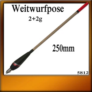 WEITWURFPOSE POSEN AUSTAUSCHBARE GEWICHTE 2+2g 250mm - Bild 1 von 1