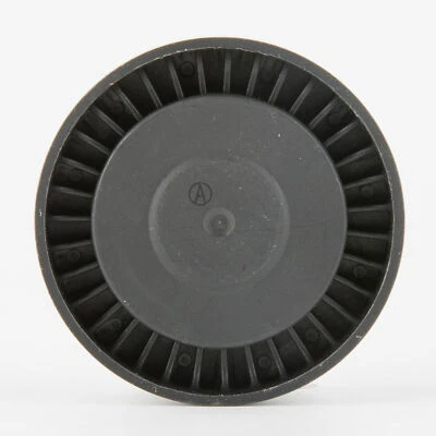 Accesorio polea loca correa para BMW 545i 550i 645Ci 650i 745Li 745i 750Li 750i Foto 1 de 3