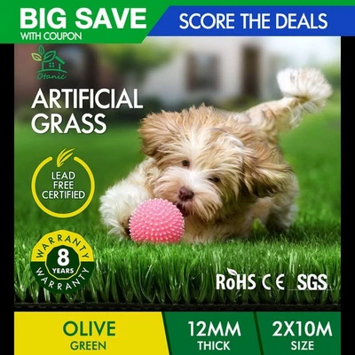 OTANIC Artificial Grass 20 SQM Roll Synthetic Turf Fake Yarn Lawn 12mm 2x10m - image 1 of 4