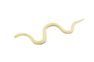 Albino Texas Rat Snake, Rubber Reptile, Realistic Toy Model, 5 1/2" F2039 B39 - Picture 1 of 7