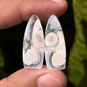 21,45 ct seltener kugelförmiger Moosachat Cabochon Paar - natürlicher indonesischer Edelstein - Bild 1 von 4