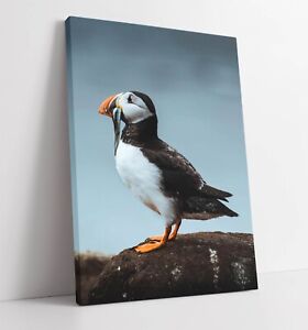 ATLANTIC PUFFIN WITH FISH NATURE PHOTOGRAPH -DEEP FRAMED CANVAS WALL ART PRINT