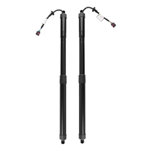 Left + Right Power Hatch Lift Support for Infiniti JX35 QX60 2014-17 90560-3JA0A - Picture 1 of 12
