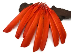 1/4 Lb - Orange Turkey Pointers Primary Wing Quill Large Wholesale Feather Bulk - Picture 1 of 9
