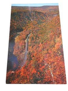 Vintage Postcard unposted Pennsylvania Grand Canyon Trail fall nature Butler PA - Picture 1 of 3