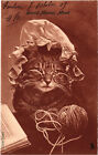 Pc Cats, Anthropomorphic, Grand Maman Minet, Vintage Postcard (B46917)