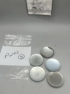 NOS- Dorman Expansion Plug 1 3/4 " (QTY 5)  Part # P25S - Imagen 1 de 3