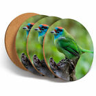 4 Set - Blue Throated Barbet Bird Coasters - Kitchen Drinks Coaster Gift #12498