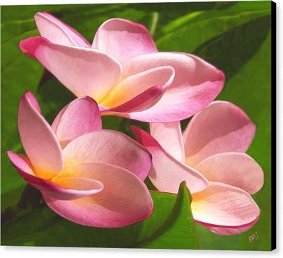 Pink Plumeria Trio Frangipani, arte de pared con impresión en lienzo tropical hawaiano grande Foto 1 de 4