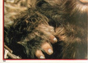 1983 TOPPS STAR WARS RETURN OF THE JEDI ALBUM STICKER #134