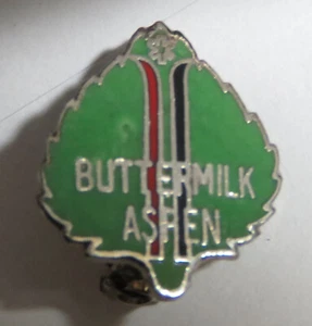 Aspen Buttermilk Ski Pin  Vintage Colorado  (the 1 pin in the gallery Picture) - Picture 1 of 6