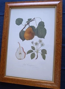 English Flowral Drawing ART with flame - Picture 1 of 10