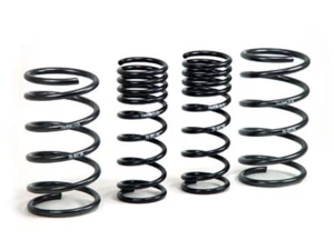 Resorte deportivo H&R 00-05 Ford Focus/Focus SVT DAW (sin camioneta) - Imagen 1 de 3