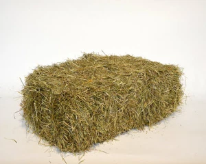 16 kg 1. Schnitt frisches Wiesenheu | Heuballen & Futter für Kaninchen + Hamster - Bild 1 von 6
