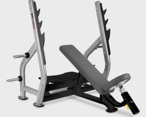 Profi BH RST Schrägbank L820 Schräg Drückerbank Bankdrücken Fitness Studio Gym - Bild 1 von 1