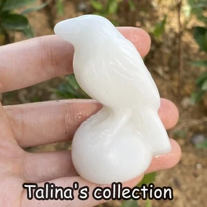 1 pieza Calavera de cuervo de jade blanco natural tallada a mano cristal cuarzo reiki regalo de haeling - Imagen 1 de 5