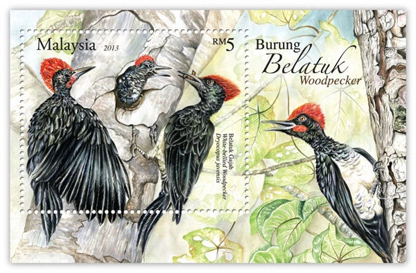 Malaysia 2013 Woodpecker ~ M/S Mint - Image 1 of 1