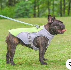 Sommer Haustier Hund Kühlweste Hitzebeständig Atmungsaktiv Größe Small - Bild 1 von 6