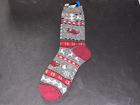 South Carolina Gamecocks NCAA Large Ugly Christmas Sweater Socks Men Size 10-13 Cover