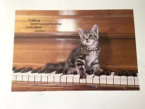 Vintage Argus Kitten Funny Workplace Educational Humor Poster -21” X 14”-#42448 - Picture 1 of 11