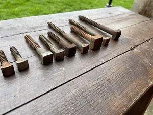 Vintage Square Head Screws Netlefold Bundle Of 13 - Picture 1 of 7