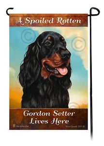 A Spoiled Rotten Gordon Setter Lives Here - Picture 1 of 1