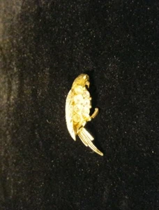 Signed Owen Gold Plated Parrot brooch with white rhinestones - Picture 1 of 3