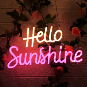 Insegna Neon Ciao Sole Acrilico Regalo Luce Lampada Bar Parete Camera Decorazione Luci LED - Foto 1 di 11