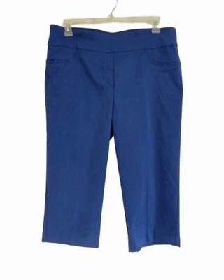 Ruby Rd Slimming Capri Pants Slacks Women's Size 18 Dark Blue Stretch Straight - Image 1 of 4