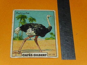 CHROMO 1936 CAFES GILBERT AUTRUCHE - Imagen 1 de 2