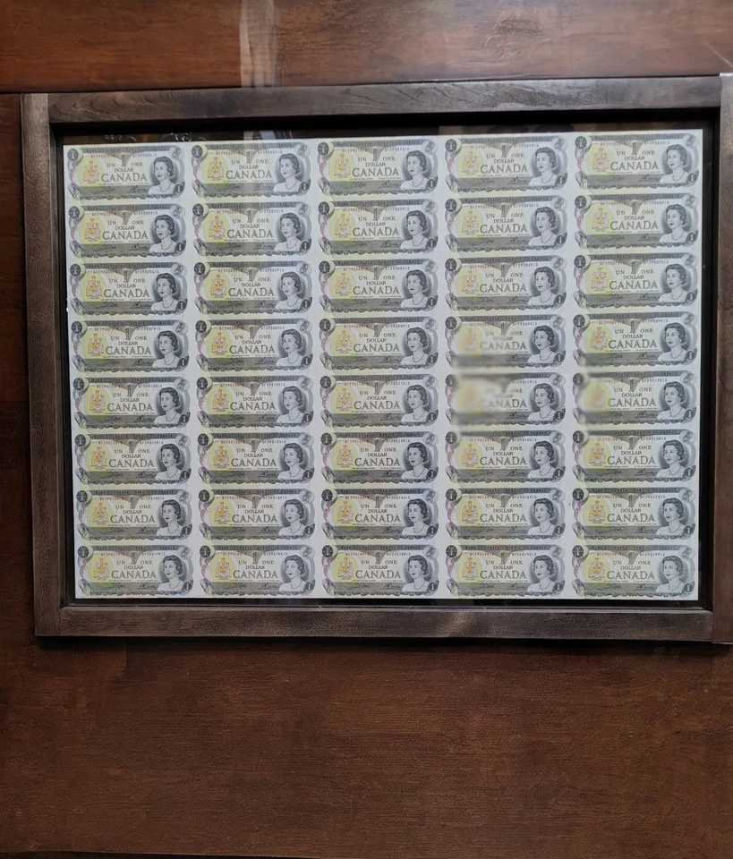 Hoja sin cortar de 40 billetes de dólar canadienses 1973.  MARCO A PRUEBA DE DECOLORACIÓN DE DOBLE CARA. Foto 1 de 4