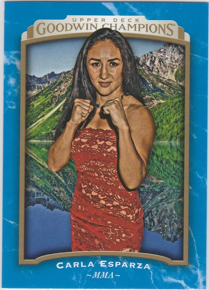 2017 CARLA ESPARZA Goodwin Champions Vertical Royal Blue #27 - Image 1 of 2