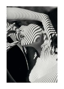 Striped Shadows - Picture 1 of 3