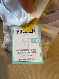 Pottery Barn Disney Frozen Enchanted Forest Organic Cotton Kid Pajama Set Sz 3T - Picture 1 of 6