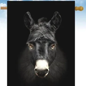 Flags Galore Donkey House Flag w - Picture 1 of 1