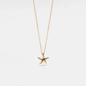 Starfish Layering Beach Necklace in 925 Sterling Silver - Picture 1 of 7