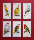 PLAYERS  6 SCARCE  1933 CIGARETTE CARDS  AVIERY & CAGE BIRDS  4-16-23-31-44-50
