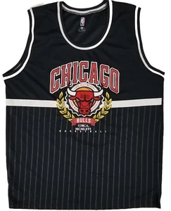 NBA Unk Brand CHICAGO BULLS Black Pinstripe Mesh Basketball Jersey Men's XXL - Picture 1 of 8