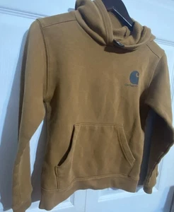 Carhartt Clarksburg braun Grafikärmel Pullover Hoodie Jugend M/M/M 10-12 - Bild 1 von 9