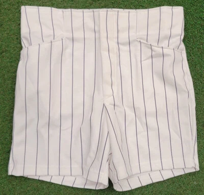 Pantalones Cortos De Colección Años 90 Russell Entrenador Atlético Gimnasio Profesor Poli EE. UU. BLANCO/AZUL MARINO RAYAS Foto 1 de 4