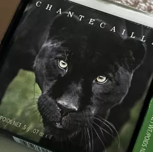Chantecaille Limited Edition Black Jaguar Eye Shadow Quartet Palette New In Box - Picture 1 of 3