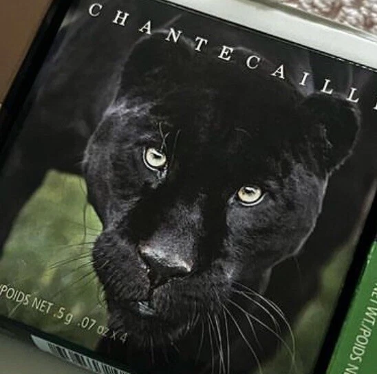 Chantecaille Limited Edition Black Jaguar Eye Shadow Quartet Palette New In Box - Image 1 of 3