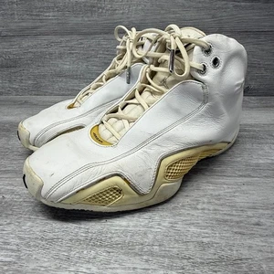 2006 Nike Air Jordan 21 XX1 White Metallic Silver Grey OG Size 11.5 313038-101 - Picture 1 of 8