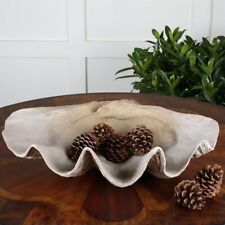 Uttermost Clam Coastal Polyresin Shell Bowl in Antique White/Brown/Gray