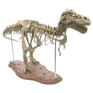 Großes DIY Dinosaurier Skelett Spielzeug T-Rex Modell zusammengebaut versteinerter Dinosaurier - Bild 1 von 8