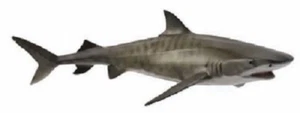 Collecta Wildlife Model 88661 - Tiger Shark - Picture 1 of 1
