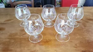 rare lot de 5 grands verres à cognac gravés Cognac Pellisson verre ou cristal ? - Imagen 1 de 7