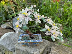 Elegantes Edelstein-Bäumchen im Cloisonné-Topf  Edelstein Gravur Skulptur - Bild 1 von 8
