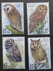 *FREE SHIP Belgium Owls 1999 Bird Of Prey Fauna (stamp) MNH