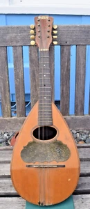 REX Professional Bowback Mandolin - Picture 1 of 17